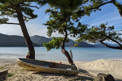 A photograph of a white boat on sandy beach leaning against two trees with the ocean in the background.