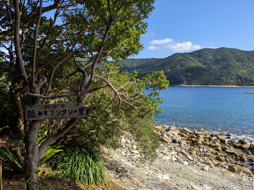 A walking path along the water named Akogi Kakure Kirishitan no sato, with ocean and small mountain in the background