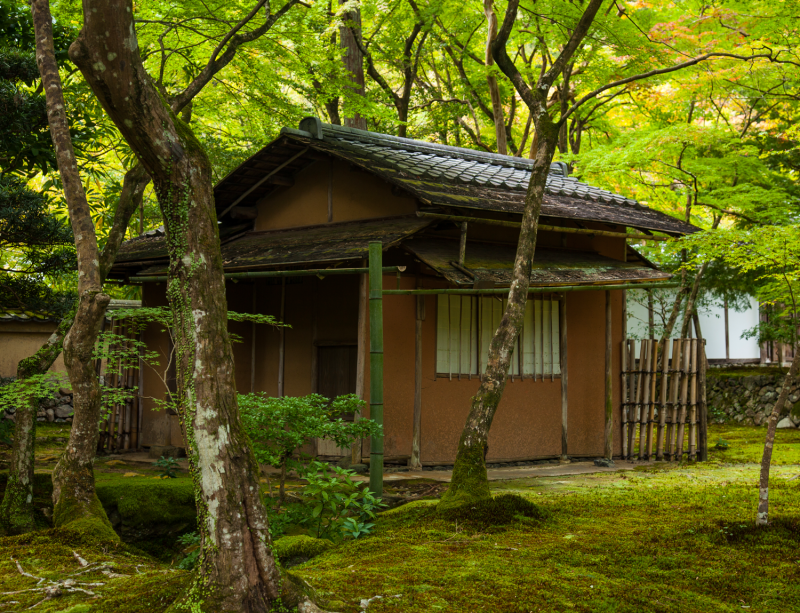 A small tea house with low tiled roof and short bamboo fence sitting amidst a lush green, forested garden.