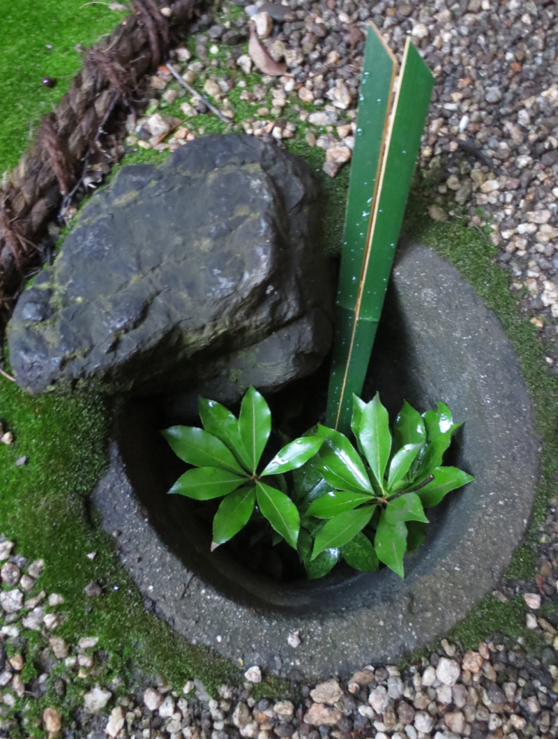 A large stone is resting on the far side of a circular stone lined hole inside of which are some bright green leaves. Around this hole are small rocks and moss.
