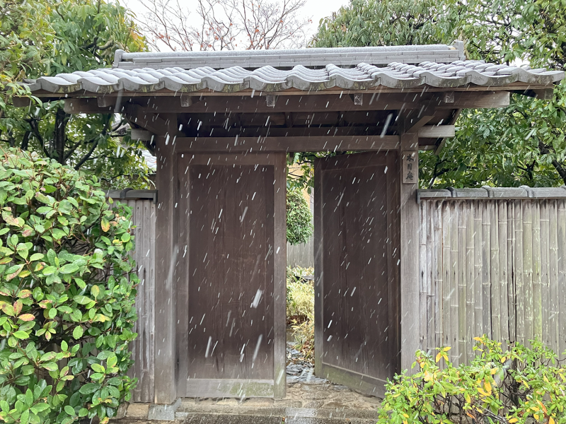 A wooden outer gate with one door cracked open. The gate is surrounded by greenery and some rain is falling.