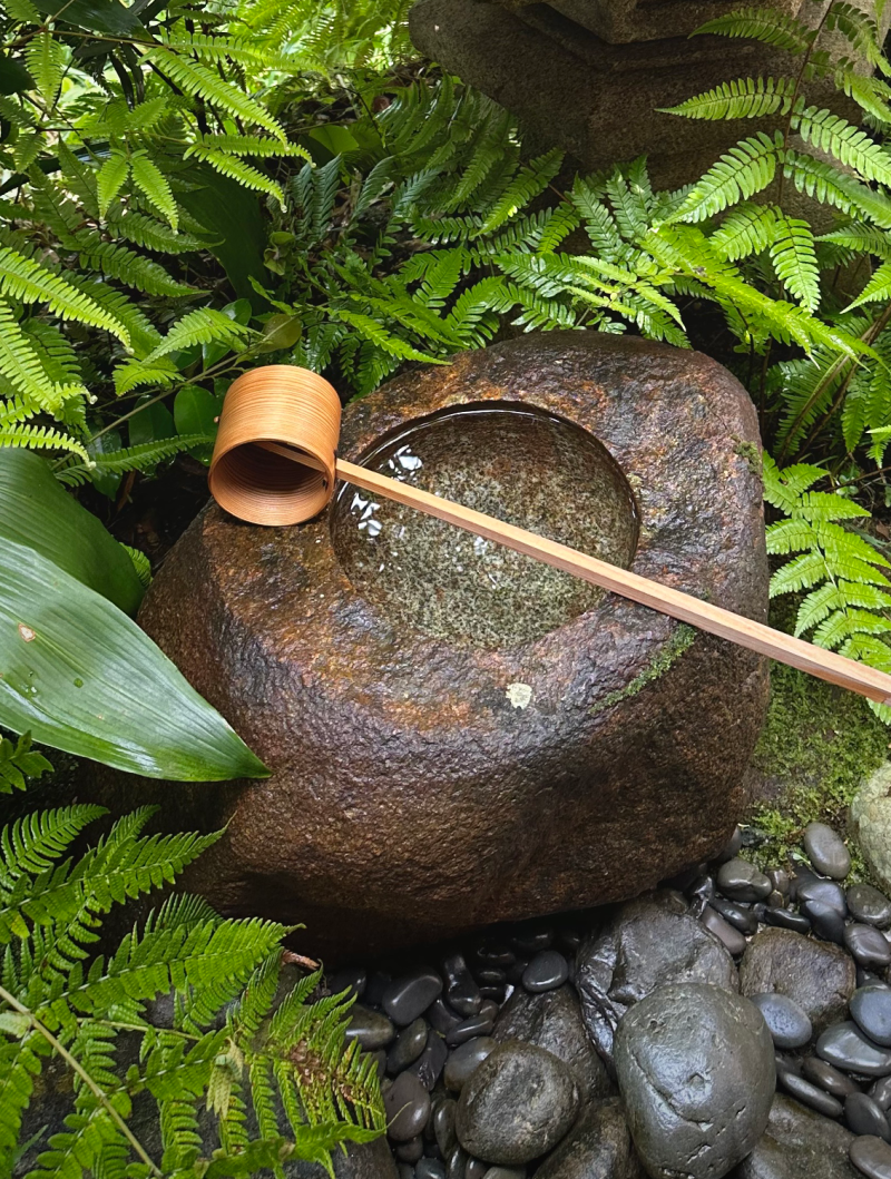 A short stone basin filled with water nestled among plants, wet black rocks in front, and moss along the sides. A wooden scoop is resting across the surface of the basin.